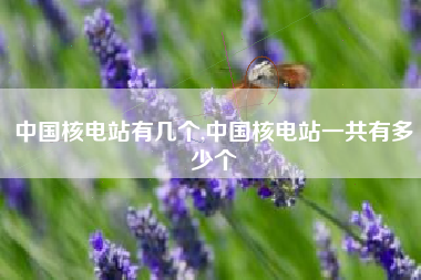 中国核电站有几个,中国核电站一共有多少个