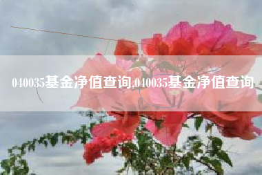 040035基金净值查询,040035基金净值查询