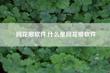 同花顺软件,什么是同花顺软件