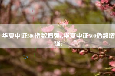 华夏中证500指数增强c,华夏中证500指数增强c