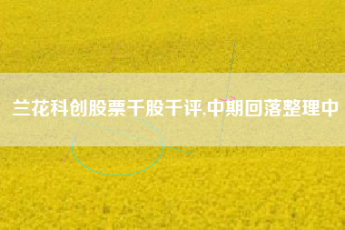 兰花科创股票千股千评,中期回落整理中