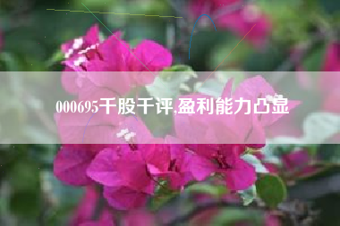 000695千股千评,盈利能力凸显