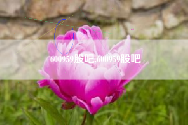 600959股吧,600959股吧
