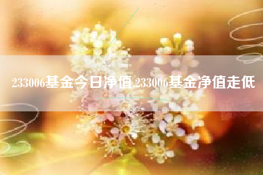 233006基金今日净值,233006基金净值走低