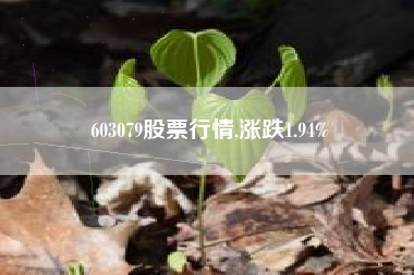 603079股票行情,涨跌1.94%