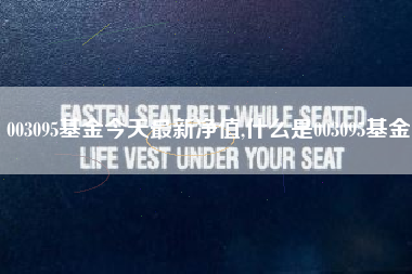 003095基金今天最新净值,什么是003095基金