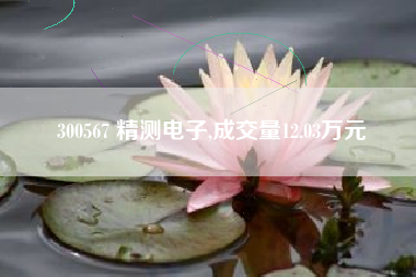300567 精测电子,成交量12.03万元