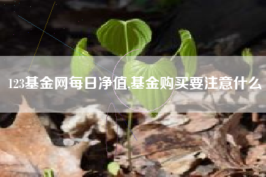 123基金网每日净值,基金购买要注意什么