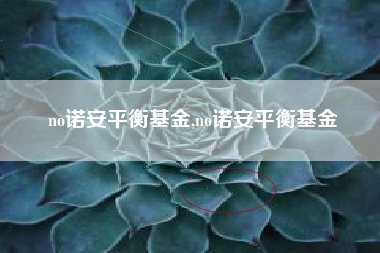 no诺安平衡基金,no诺安平衡基金