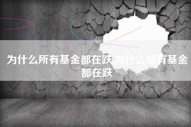 为什么所有基金都在跌,为什么所有基金都在跌