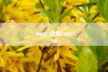 200037,选购200037
