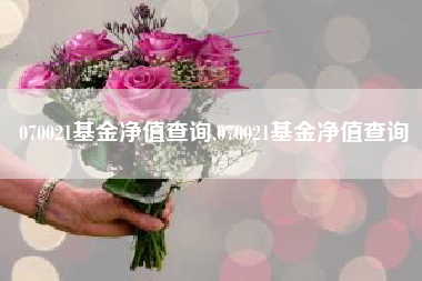 070021基金净值查询,070021基金净值查询