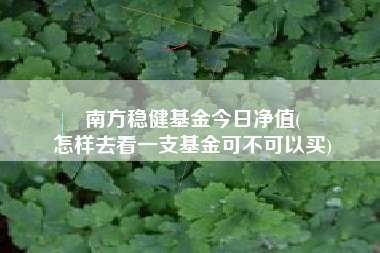 南方稳健基金今日净值(
怎样去看一支基金可不可以买)