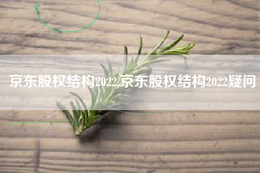 京东股权结构2022,京东股权结构2022疑问