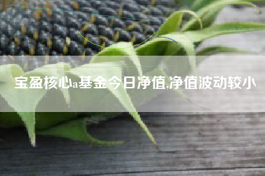 宝盈核心a基金今日净值,净值波动较小