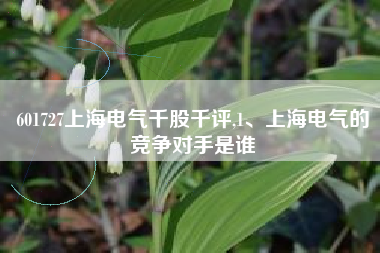 601727上海电气千股千评,1、上海电气的竞争对手是谁