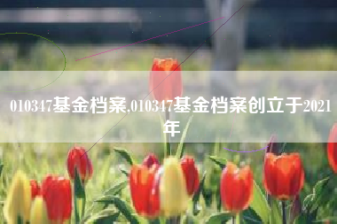 010347基金档案,010347基金档案创立于2021年