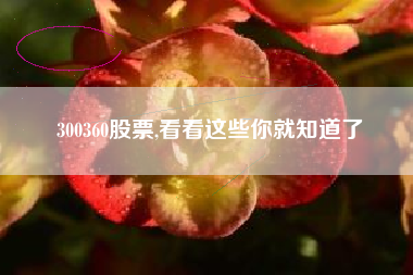 300360股票,看看这些你就知道了