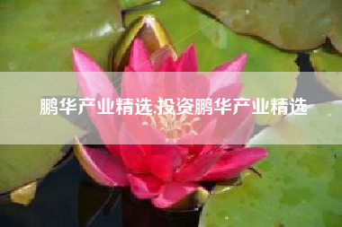 鹏华产业精选,投资鹏华产业精选