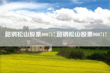 韶钢松山股票000717,韶钢松山股票000717