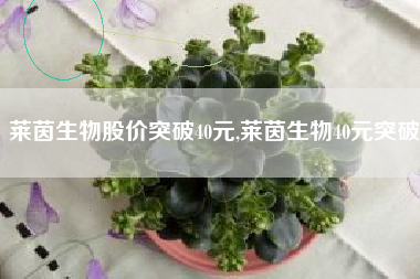 莱茵生物股价突破40元,莱茵生物40元突破