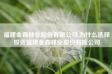 福建金森林业股份有限公司,为什么选择投资福建金森林业股份有限公司