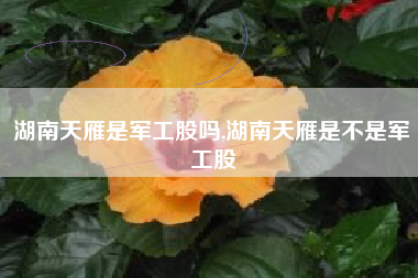 湖南天雁是军工股吗,湖南天雁是不是军工股