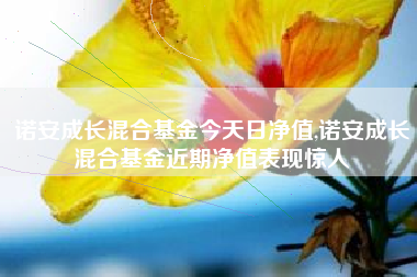 诺安成长混合基金今天日净值,诺安成长混合基金近期净值表现惊人
