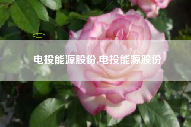 电投能源股份,电投能源股份