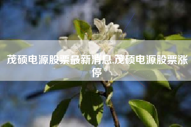 茂硕电源股票最新消息,茂硕电源股票涨停