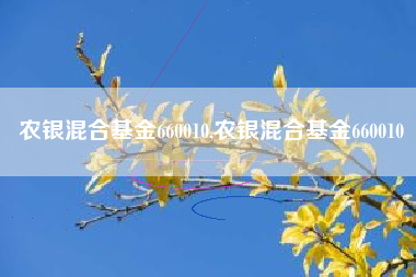 农银混合基金660010,农银混合基金660010