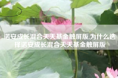 诺安成长混合天天基金触屏版,为什么选择诺安成长混合天天基金触屏版