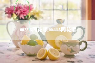 002215同花顺,002215同花顺
