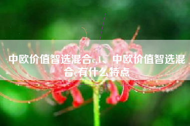 中欧价值智选混合c,1、中欧价值智选混合c有什么特点