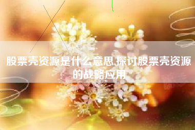 股票壳资源是什么意思,探讨股票壳资源的战略应用