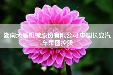 湖南天雁机械股份有限公司,中国长安汽车集团控股