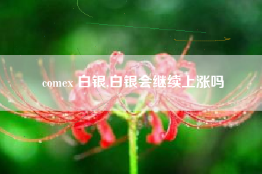 comex 白银,白银会继续上涨吗