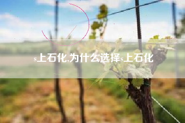 s上石化,为什么选择s上石化