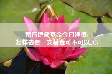 南方稳健基金今日净值(
怎样去看一支基金可不可以买)