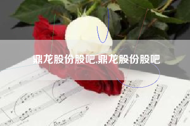 鼎龙股份股吧,鼎龙股份股吧