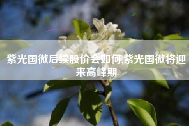 紫光国微后续股价会如何,紫光国微将迎来高峰期