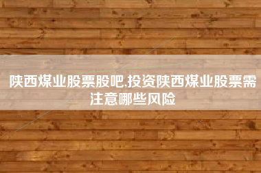 陕西煤业股票股吧,投资陕西煤业股票需注意哪些风险