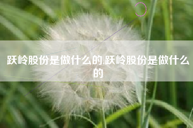 跃岭股份是做什么的,跃岭股份是做什么的