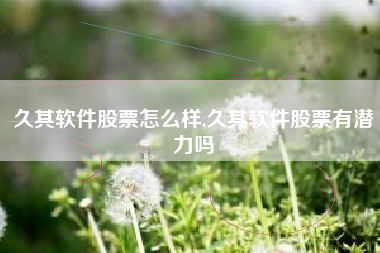 久其软件股票怎么样,久其软件股票有潜力吗