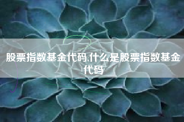 股票指数基金代码,什么是股票指数基金代码