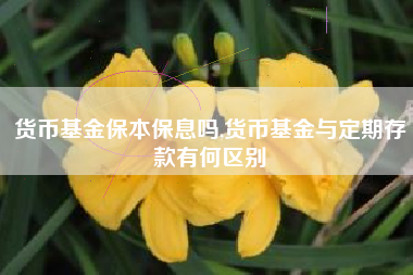 货币基金保本保息吗,货币基金与定期存款有何区别