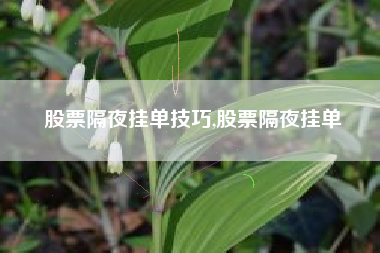 股票隔夜挂单技巧,股票隔夜挂单