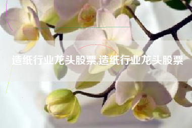 造纸行业龙头股票,造纸行业龙头股票