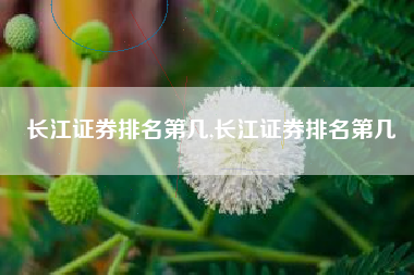 长江证券排名第几,长江证券排名第几