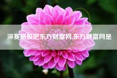 深赛格股吧东方财富网,东方财富网是
